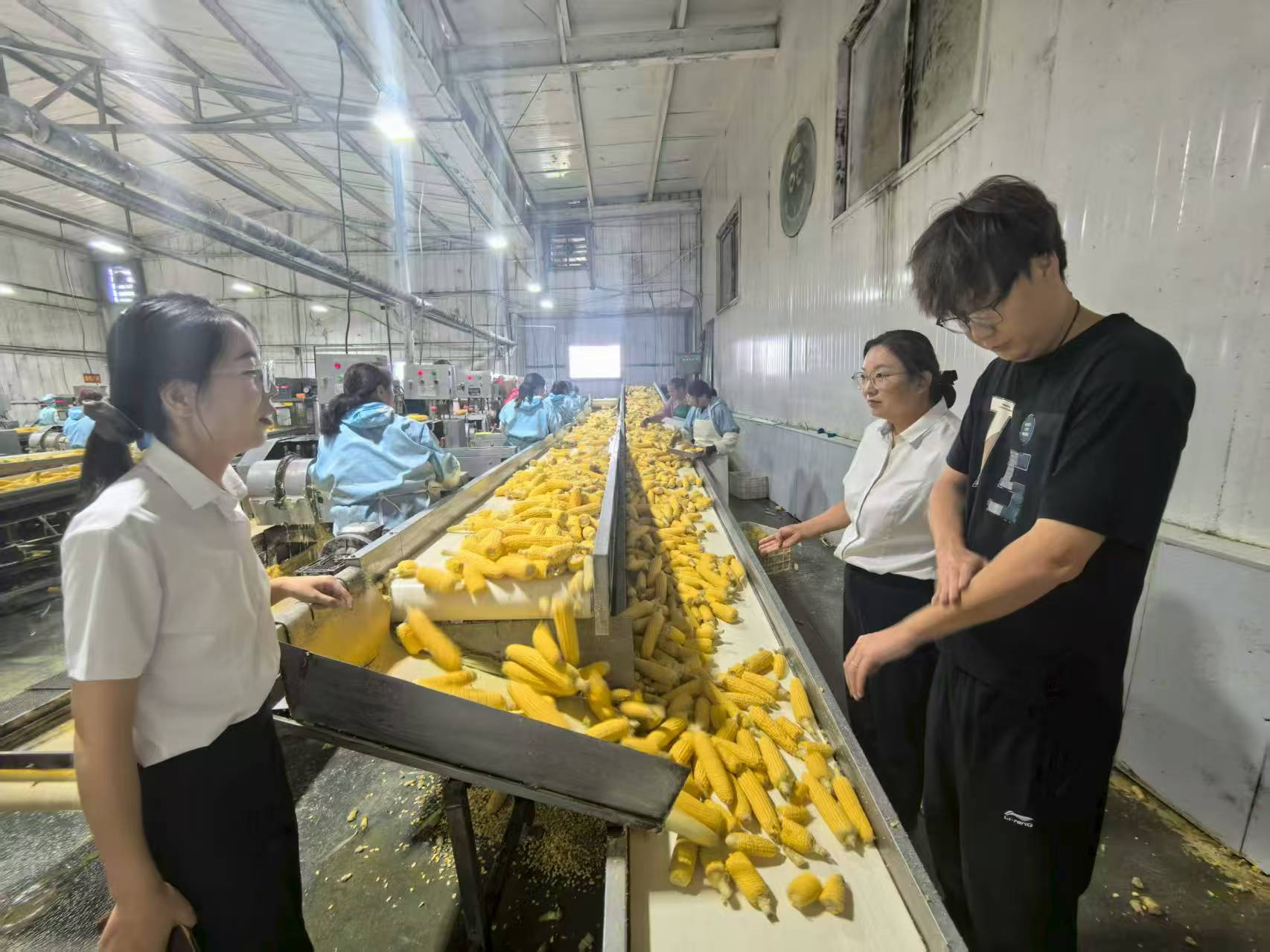 1761700640697760.jpg 1761700640697760.jpg