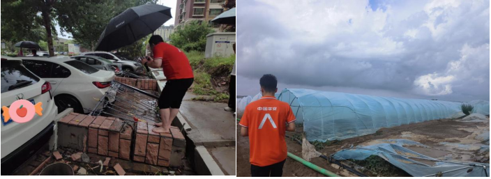 1762742816121547.png image.png