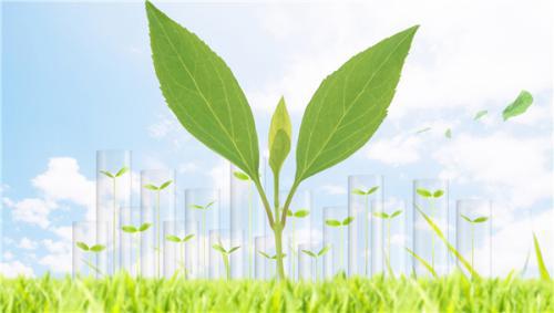 渤海银行呼和浩特分行以传统节日为纽带，推动金融知识普及与社区温情服务深度融合